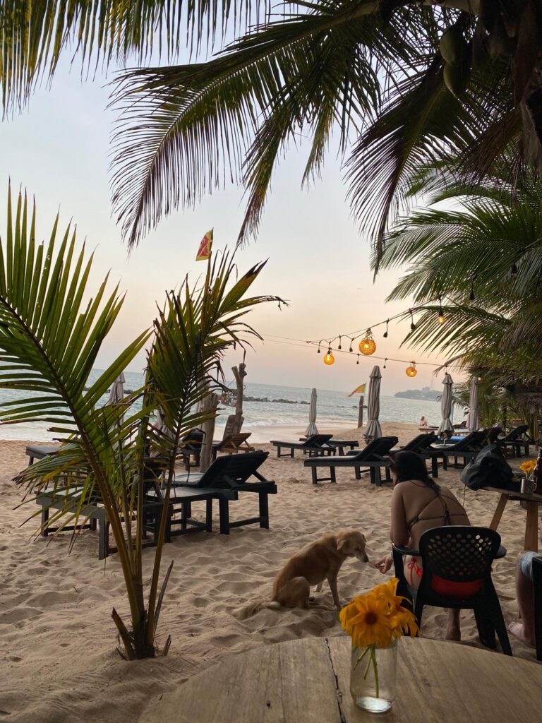 Abendstimmung am Strand nahe Tangalle in Sri Lanka