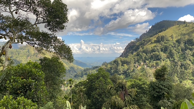 Ausblick von einer Terrasse bei Ella ins Tal hinunter.